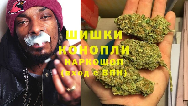 эйфоретик Арсеньев