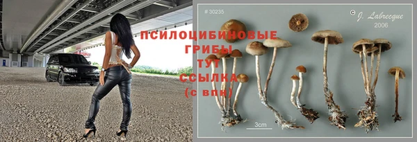 эйфоретик Арсеньев